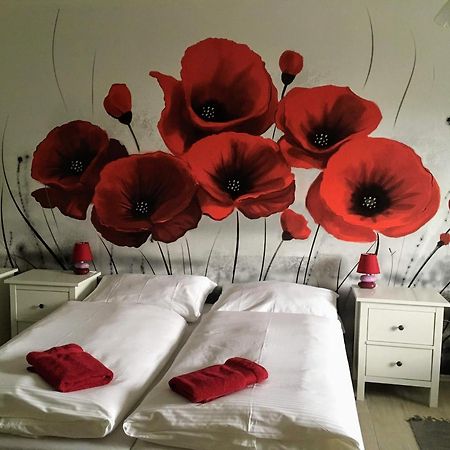Apartman Na Namesti Διαμέρισμα Opočno Εξωτερικό φωτογραφία