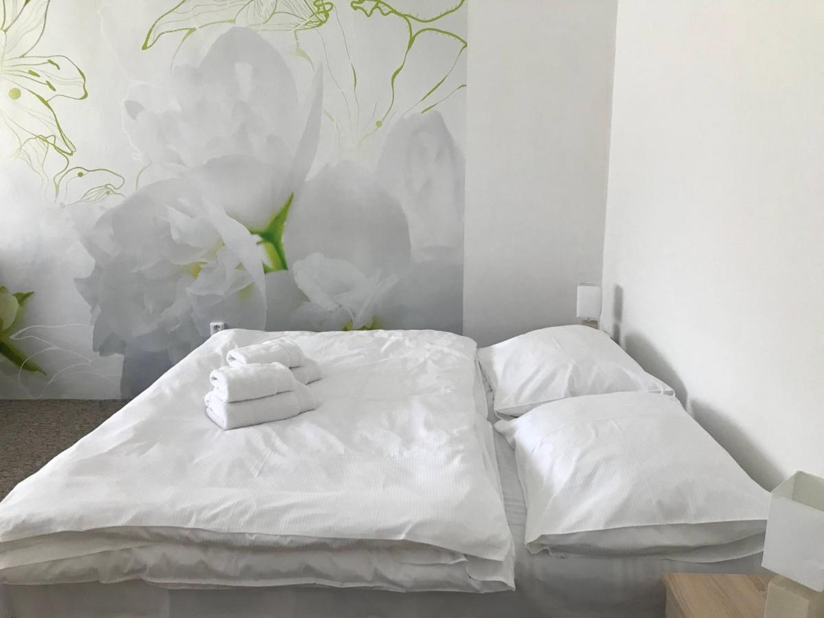 Apartman Na Namesti Διαμέρισμα Opočno Εξωτερικό φωτογραφία