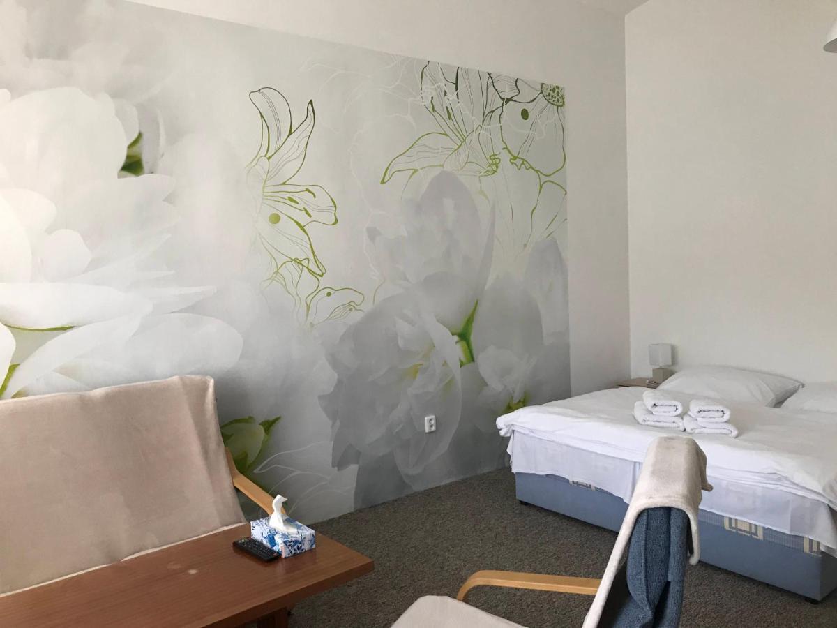 Apartman Na Namesti Διαμέρισμα Opočno Εξωτερικό φωτογραφία