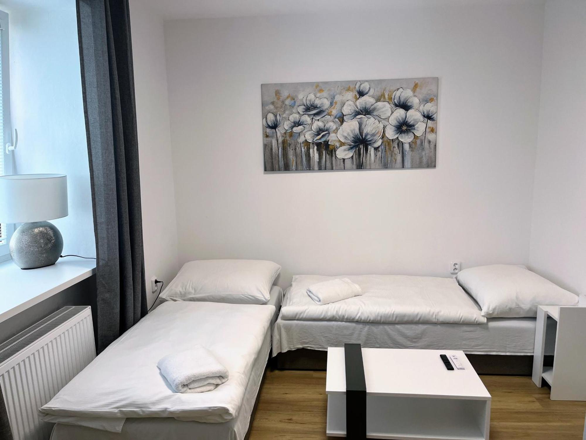 Apartman Na Namesti Διαμέρισμα Opočno Εξωτερικό φωτογραφία